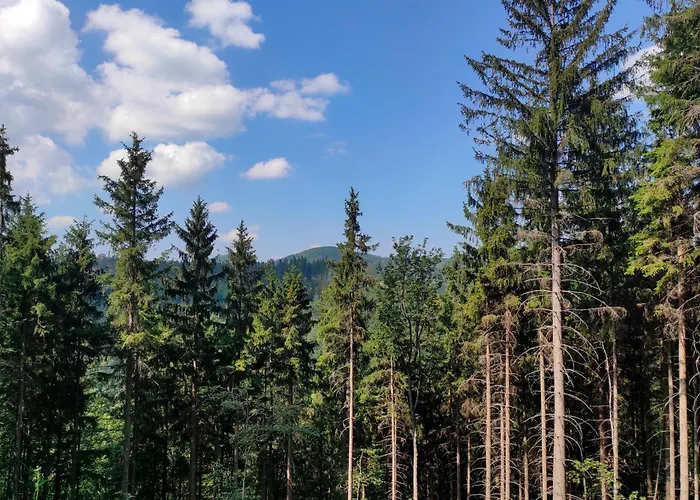 Mia Domo - Wypoczynek W Gorach Suchych, Kamiennych I Sowich